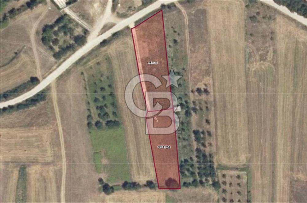 İZNİK DERBENT'TE GÖL MANZARALI YOLU OLAN SATILIK TARLA