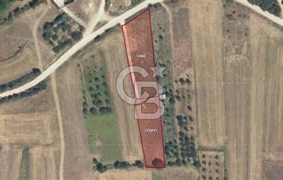 İZNİK DERBENT'TE GÖL MANZARALI YOLU OLAN SATILIK TARLA