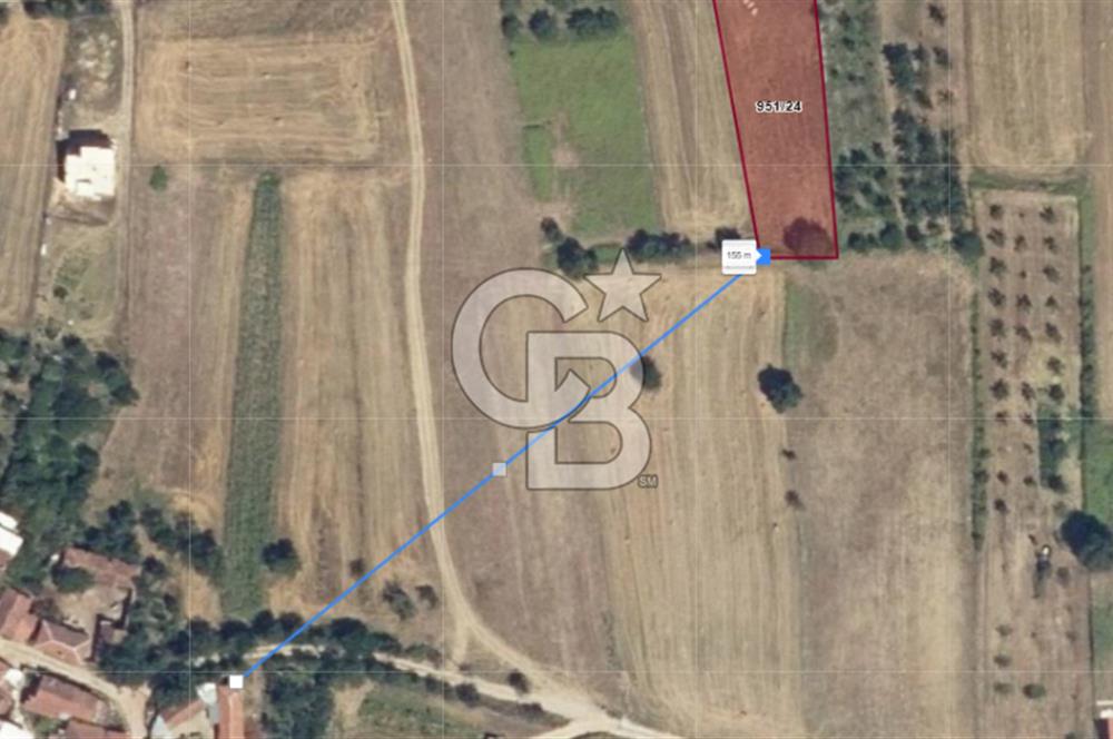 İZNİK DERBENT'TE GÖL MANZARALI YOLU OLAN SATILIK TARLA