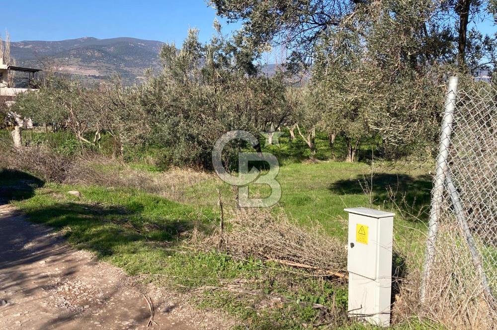 Emiralemde İmar Sınırında Satılık Tarla Elektrikli Yola Cepheli