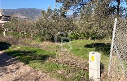 Emiralemde İmar Sınırında Satılık Tarla Elektrikli Yola Cepheli