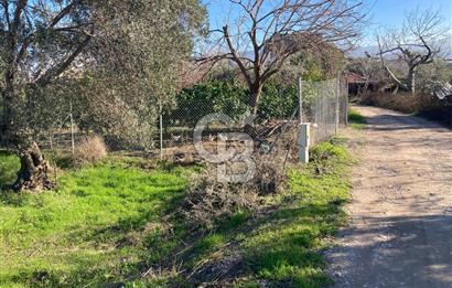 Emiralemde İmar Sınırında Satılık Tarla Elektrikli Yola Cepheli