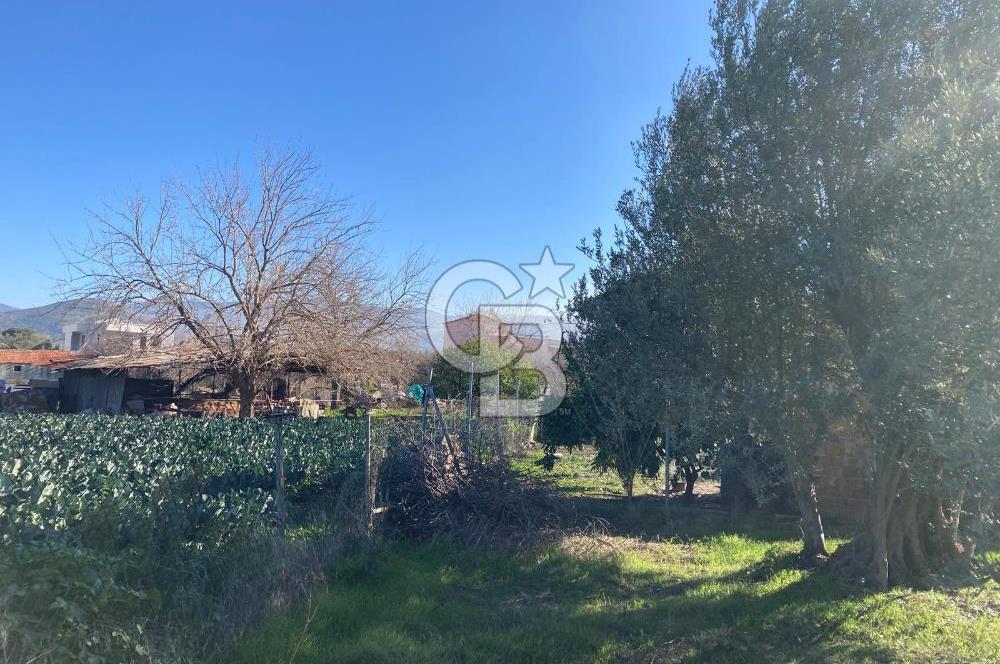 Emiralemde İmar Sınırında Satılık Tarla Elektrikli Yola Cepheli