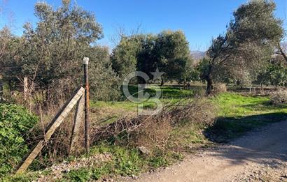 Emiralemde İmar Sınırında Satılık Tarla Elektrikli Yola Cepheli