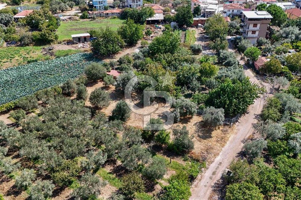 Emiralemde İmar Sınırında Satılık Tarla Elektrikli Yola Cepheli