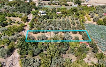 Emiralemde İmar Sınırında Satılık Tarla Elektrikli Yola Cepheli