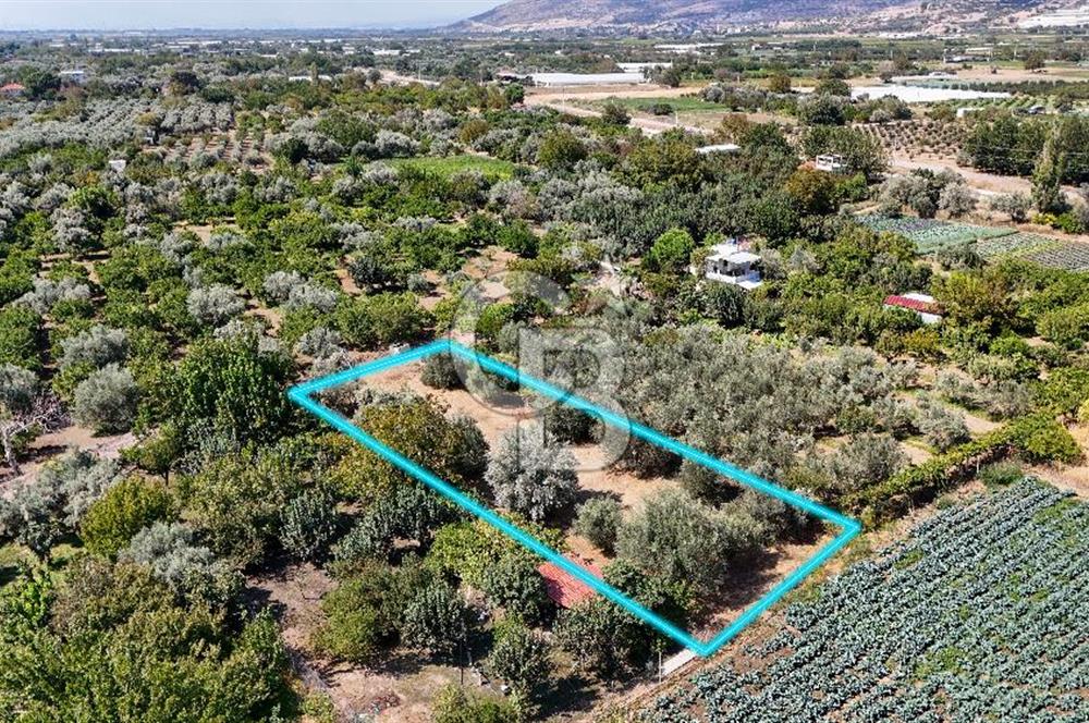 Emiralemde İmar Sınırında Satılık Tarla Elektrikli Yola Cepheli