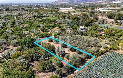 Emiralemde İmar Sınırında Satılık Tarla Elektrikli Yola Cepheli