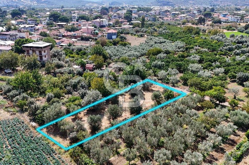 Emiralemde İmar Sınırında Satılık Tarla Elektrikli Yola Cepheli