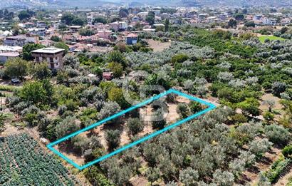 Emiralemde İmar Sınırında Satılık Tarla Elektrikli Yola Cepheli