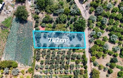 Emiralemde İmar Sınırında Satılık Tarla Elektrikli Yola Cepheli