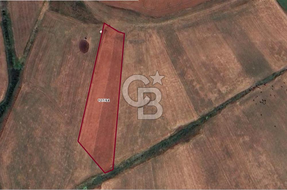 CB'DAN ÇATALCA NAKKAŞ 230M2, HAVAALANNA YAKIN, SATILIK ARAZİ