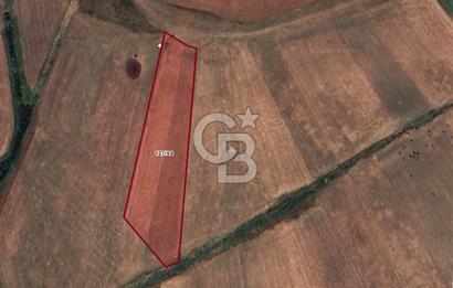 CB'DAN ÇATALCA NAKKAŞ 230M2, HAVAALANNA YAKIN, SATILIK ARAZİ