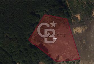 Gebze Tepemanayır Köyünde Doğa Manzaralı Satılık Parsel - 1 - 331219