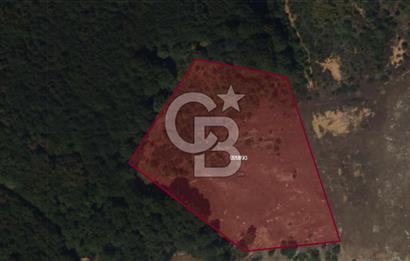 Gebze Tepemanayır Köyünde Doğa Manzaralı Satılık Parsel