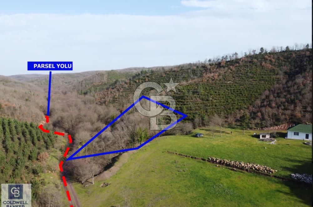 Gebze Mudarlı Da Şehirden Uzak, Doğanın Ortasında Satılık Parsel