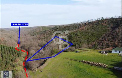 Gebze Mudarlı Da Şehirden Uzak, Doğanın Ortasında Satılık Parsel