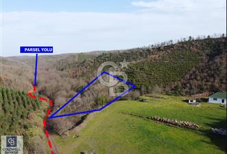 Gebze Mudarlı Da Şehirden Uzak, Doğanın Ortasında Satılık Parsel - 5 - 331221