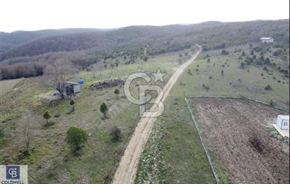 Gebze Elbizli Köyünde Zirvede, Yola Yakın Satılık Parsel