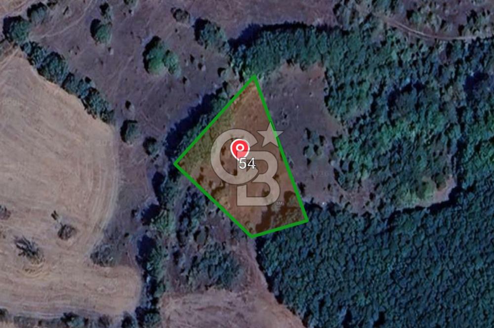 ÇANAKKALE LAPSEKİ BEYÇAYIR KÖYÜ SATILIK 1356 m2 ARAZİ