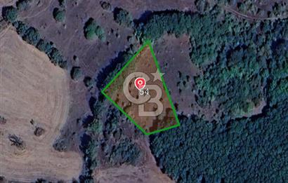 ÇANAKKALE LAPSEKİ BEYÇAYIR KÖYÜ SATILIK 1356 m2 ARAZİ