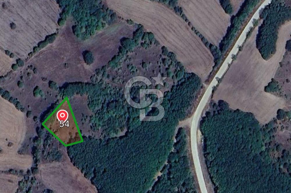 ÇANAKKALE LAPSEKİ BEYÇAYIR KÖYÜ SATILIK 1356 m2 ARAZİ