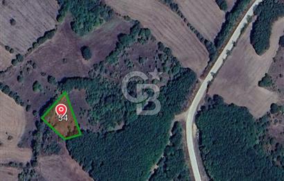ÇANAKKALE LAPSEKİ BEYÇAYIR KÖYÜ SATILIK 1356 m2 ARAZİ