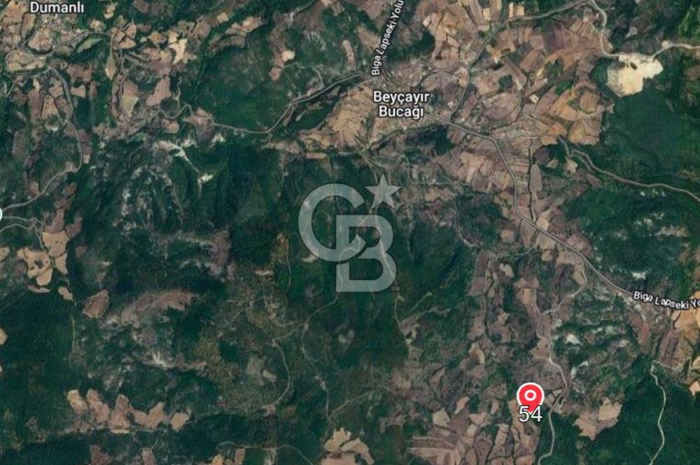 ÇANAKKALE LAPSEKİ BEYÇAYIR KÖYÜ SATILIK 1356 m2 ARAZİ