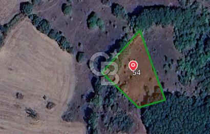 ÇANAKKALE LAPSEKİ BEYÇAYIR KÖYÜ SATILIK 1356 m2 ARAZİ