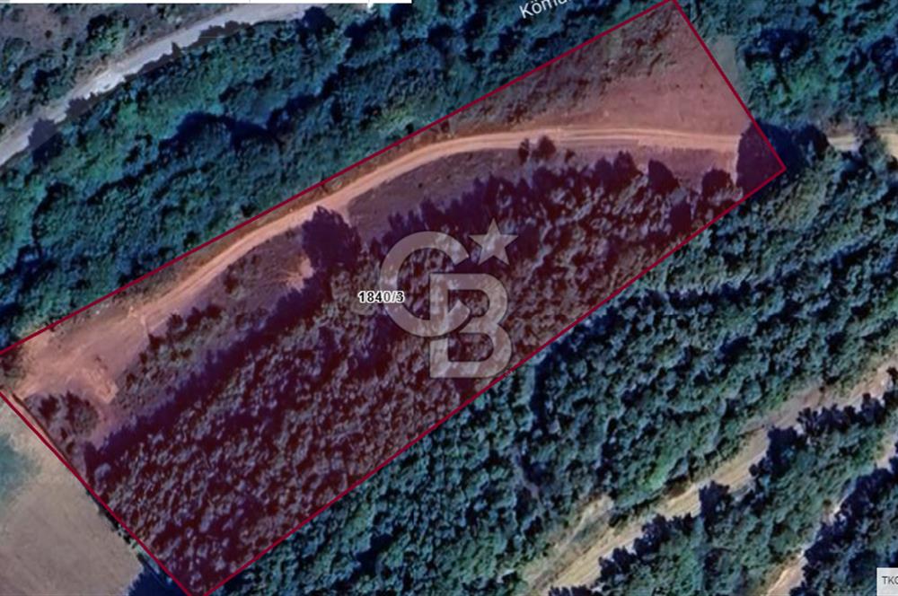 CB'DAN ŞİLE KÖMÜRLÜK,8.595M2, MÜSTAKİL, YOLA CEPHE SATILIK ARAZİ