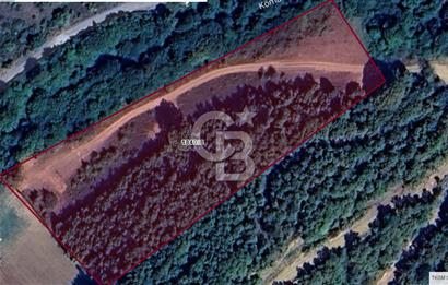 CB'DAN ŞİLE KÖMÜRLÜK,8.595M2, MÜSTAKİL, YOLA CEPHE SATILIK ARAZİ