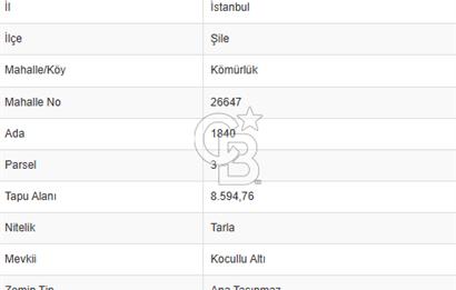 CB'DAN ŞİLE KÖMÜRLÜK,8.595M2, MÜSTAKİL, YOLA CEPHE SATILIK ARAZİ