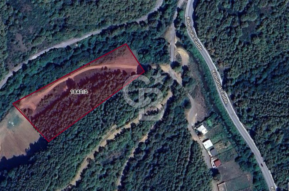 CB'DAN ŞİLE KÖMÜRLÜK,8.595M2, MÜSTAKİL, YOLA CEPHE SATILIK ARAZİ