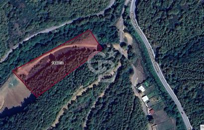 CB'DAN ŞİLE KÖMÜRLÜK,8.595M2, MÜSTAKİL, YOLA CEPHE SATILIK ARAZİ