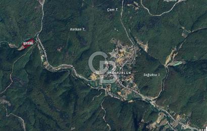 CB'DAN ŞİLE KÖMÜRLÜK,8.595M2, MÜSTAKİL, YOLA CEPHE SATILIK ARAZİ