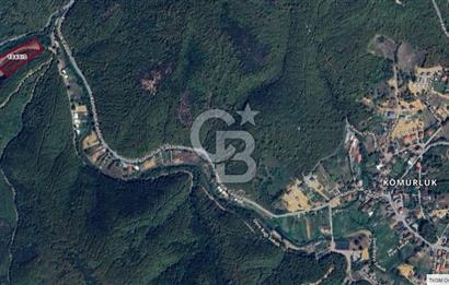 CB'DAN ŞİLE KÖMÜRLÜK,8.595M2, MÜSTAKİL, YOLA CEPHE SATILIK ARAZİ
