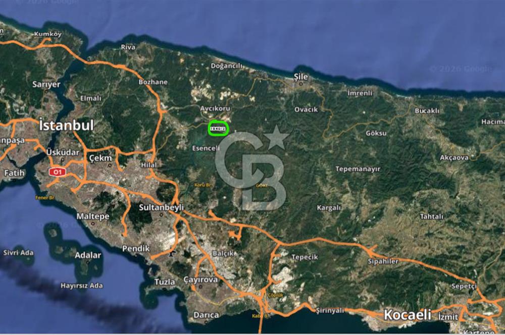CB'DAN ŞİLE KÖMÜRLÜK,8.595M2, MÜSTAKİL, YOLA CEPHE SATILIK ARAZİ