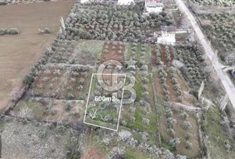 YEŞİLYAYLADA SATILIK ARSA  - 1 - 331241