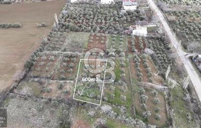 YEŞİLYAYLADA SATILIK ARSA 