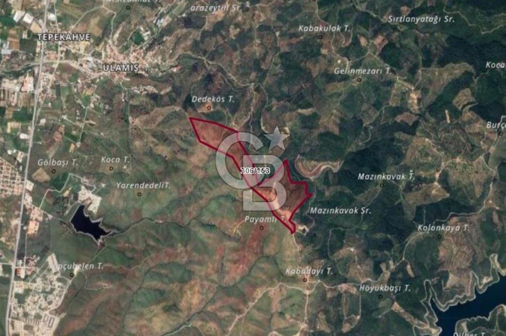 SEFERİHİSAR ULAMIŞTA 409 DÖNÜM FISTIK ÇAMI ARAZİSİ TAHSİS DEVRİ