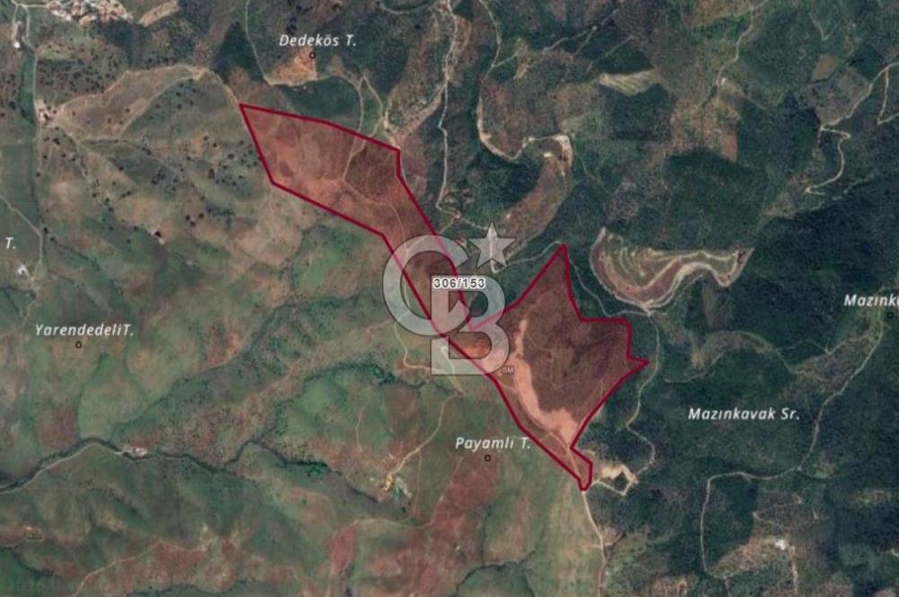 SEFERİHİSAR ULAMIŞTA 409 DÖNÜM FISTIK ÇAMI ARAZİSİ TAHSİS DEVRİ