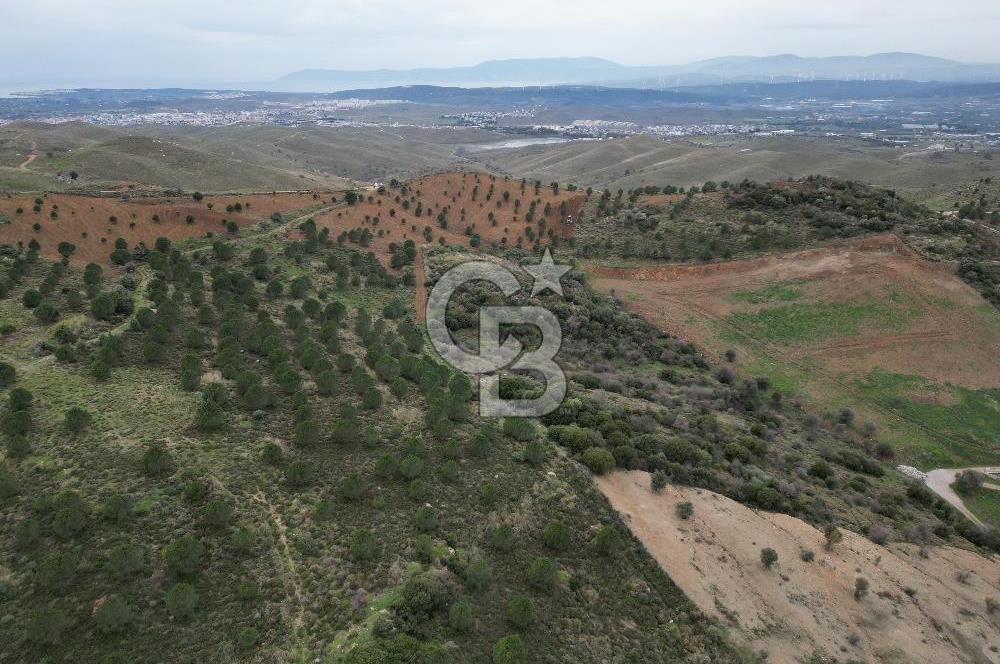 SEFERİHİSAR ULAMIŞTA 409 DÖNÜM FISTIK ÇAMI ARAZİSİ TAHSİS DEVRİ