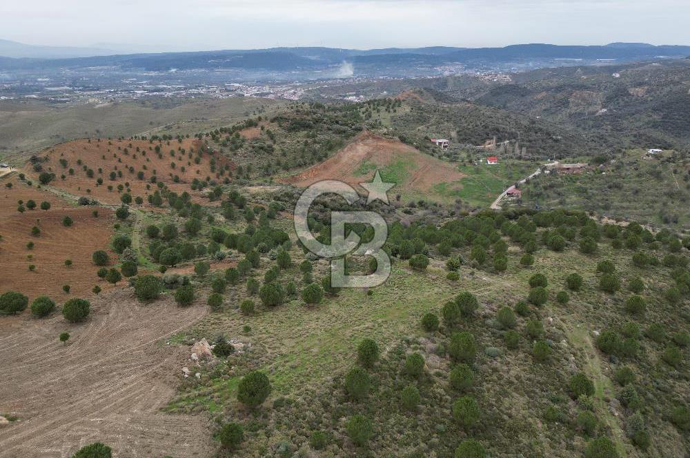 SEFERİHİSAR ULAMIŞTA 409 DÖNÜM FISTIK ÇAMI ARAZİSİ TAHSİS DEVRİ