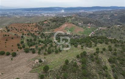 SEFERİHİSAR ULAMIŞTA 409 DÖNÜM FISTIK ÇAMI ARAZİSİ TAHSİS DEVRİ