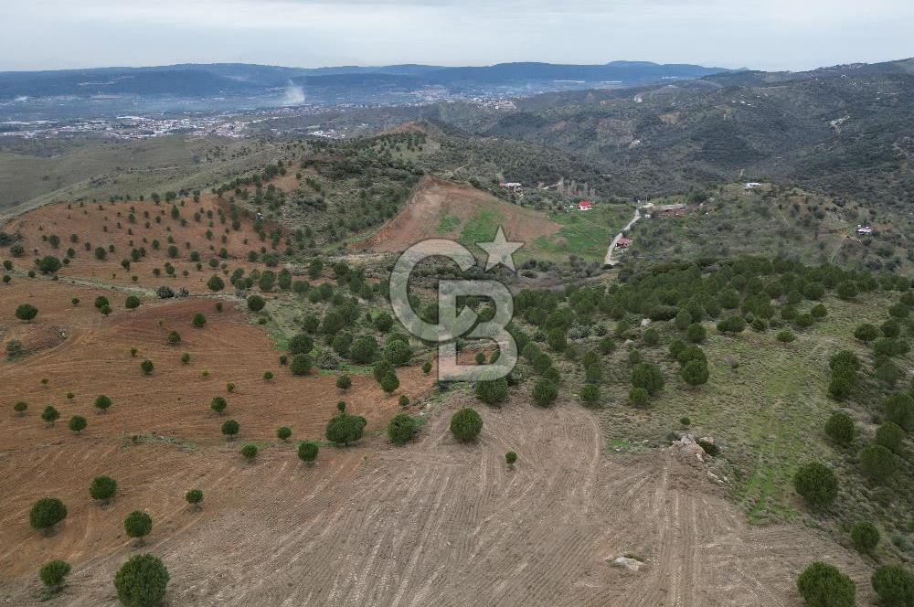 SEFERİHİSAR ULAMIŞTA 409 DÖNÜM FISTIK ÇAMI ARAZİSİ TAHSİS DEVRİ