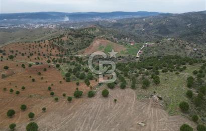 SEFERİHİSAR ULAMIŞTA 409 DÖNÜM FISTIK ÇAMI ARAZİSİ TAHSİS DEVRİ