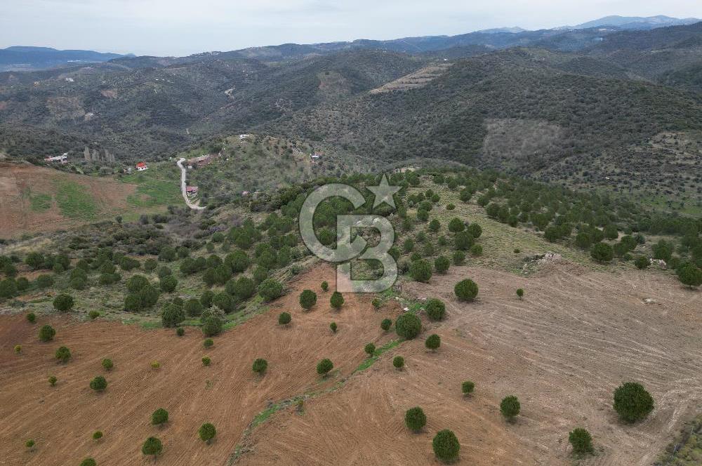 SEFERİHİSAR ULAMIŞTA 409 DÖNÜM FISTIK ÇAMI ARAZİSİ TAHSİS DEVRİ