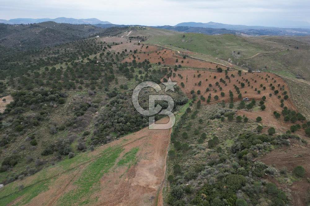 SEFERİHİSAR ULAMIŞTA 409 DÖNÜM FISTIK ÇAMI ARAZİSİ TAHSİS DEVRİ