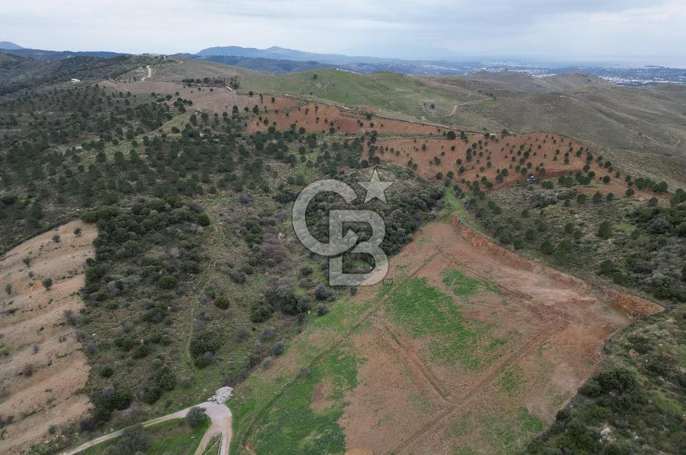 SEFERİHİSAR ULAMIŞTA 409 DÖNÜM FISTIK ÇAMI ARAZİSİ TAHSİS DEVRİ