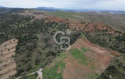 SEFERİHİSAR ULAMIŞTA 409 DÖNÜM FISTIK ÇAMI ARAZİSİ TAHSİS DEVRİ